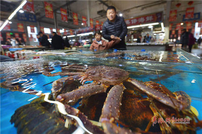 新年将至大量海鲜上市帝王蟹、龙虾等进口海鲜走俏